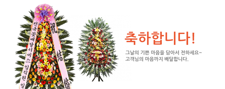 결혼/행사