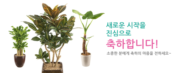 개업/이전