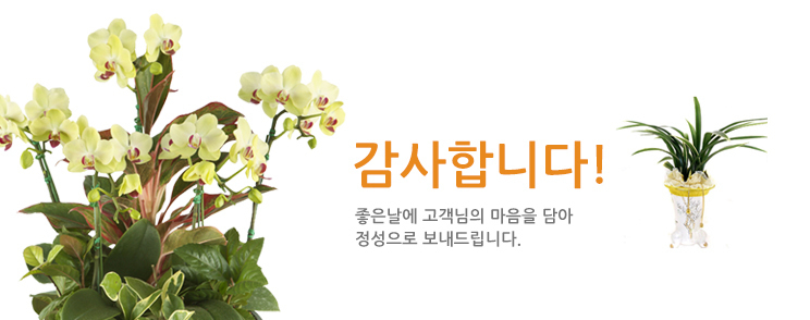 승진/취업